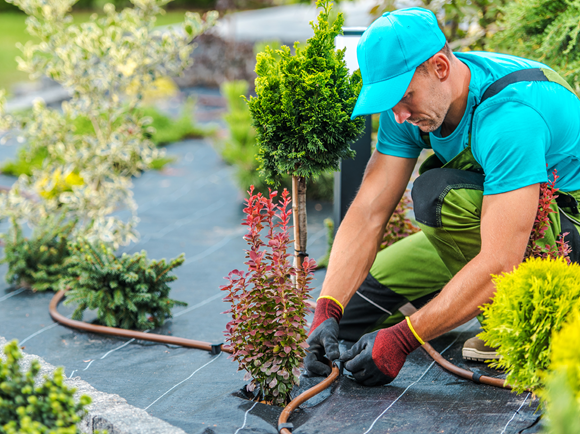 Bewässerungssystem Garten